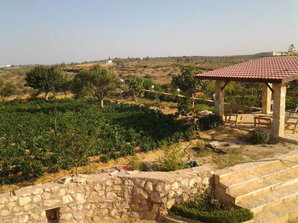 A vendre terrain agricole superficie 1 hectare 7000 situé a  kalla kbira 