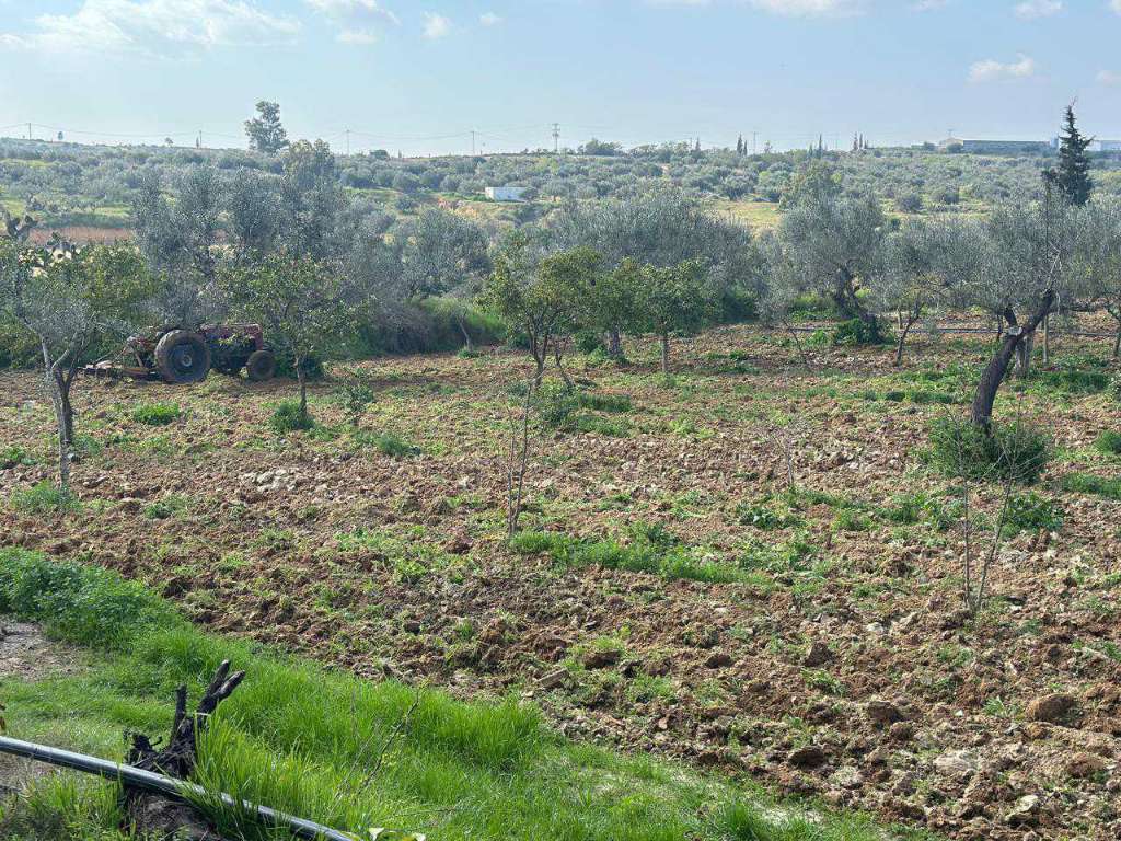 A vendre terrain agricole superficie 1 hectare 7000 situé a  kalla kbira 