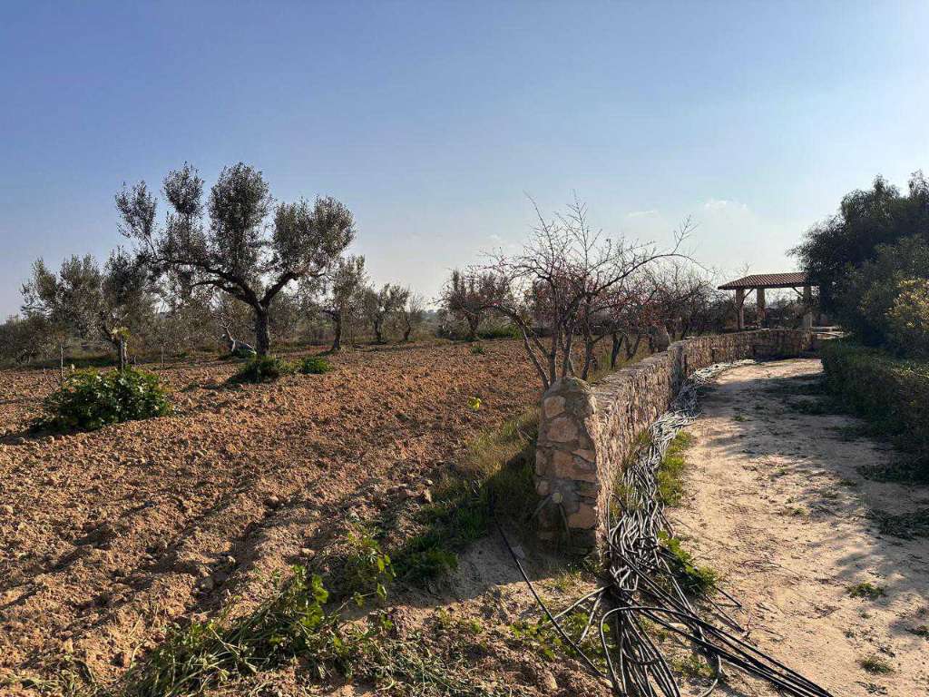 A vendre terrain agricole superficie 1 hectare 7000 situé a  kalla kbira 