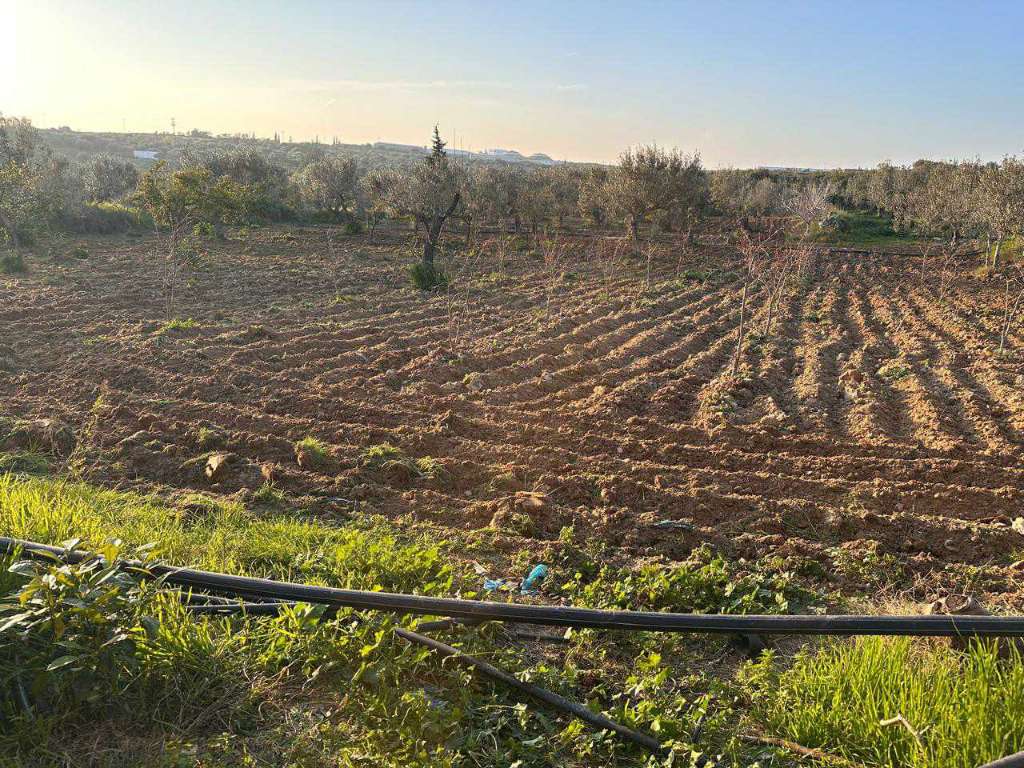 A vendre terrain agricole superficie 1 hectare 7000 situé a  kalla kbira 