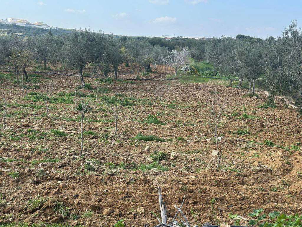 A vendre terrain agricole superficie 1 hectare 7000 situé a  kalla kbira 