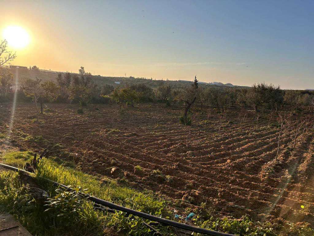 A vendre terrain agricole superficie 1 hectare 7000 situé a  kalla kbira 