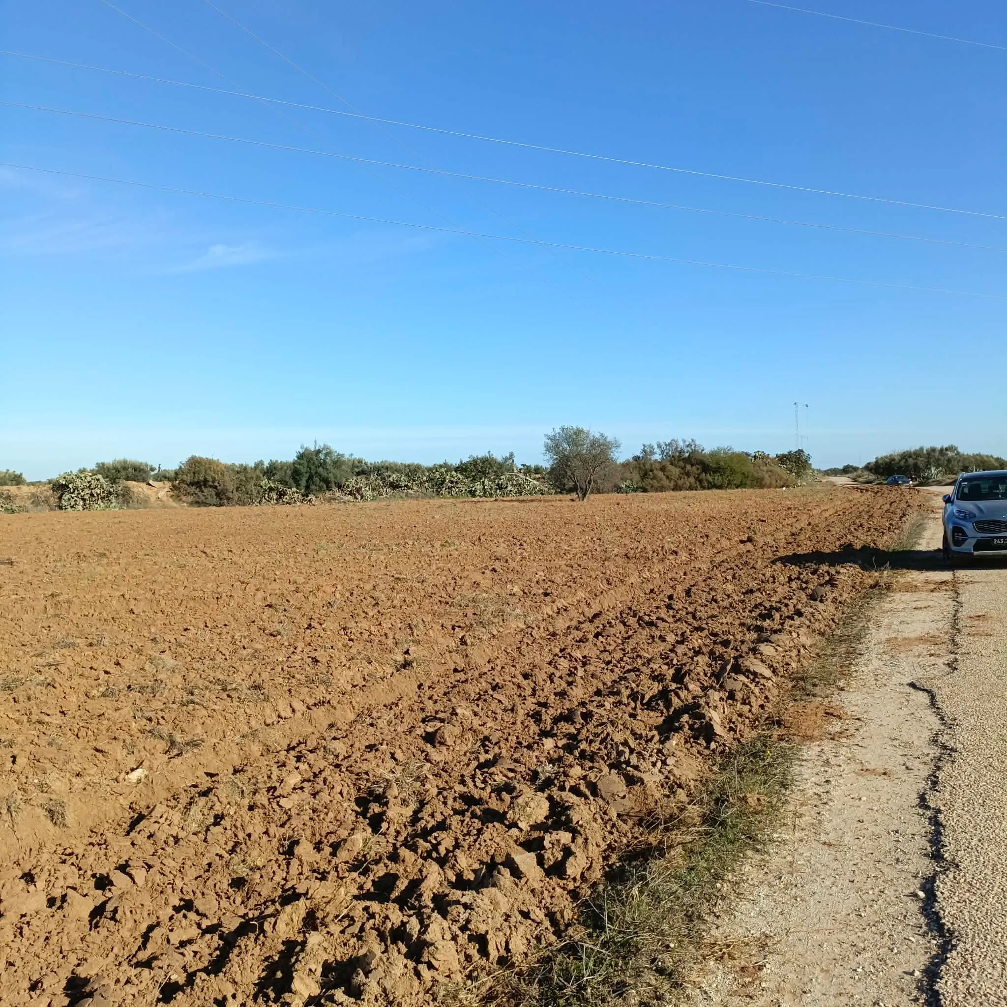 للبيع هكتار+500م على الطريق بسيدي سعيد99202001