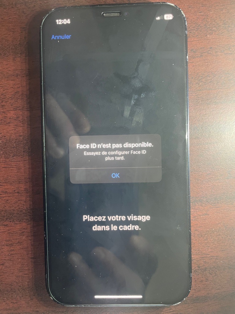 iphone 12 128GB Valide Sajalni