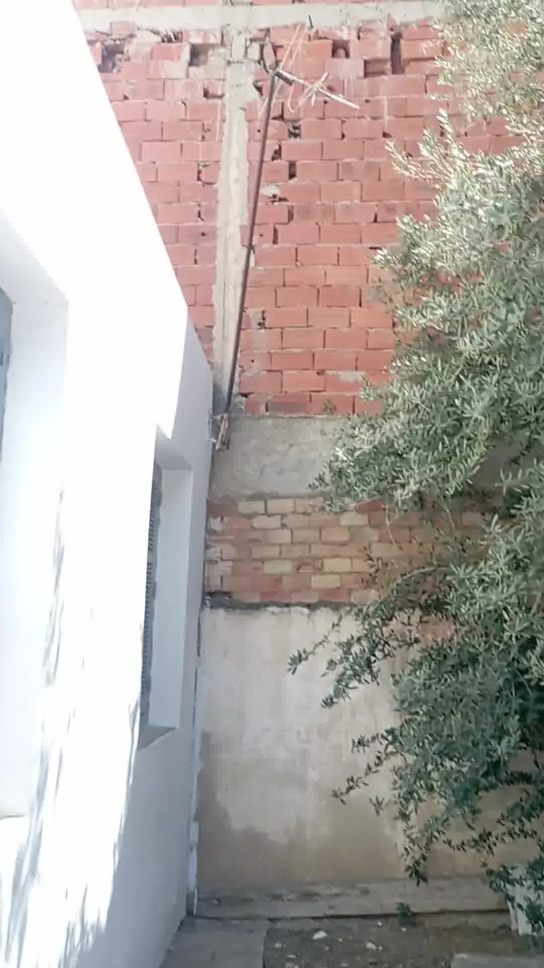 حي الخضراء طابق أرضي س2 في مسلك فردي فيه ماء و ضو 