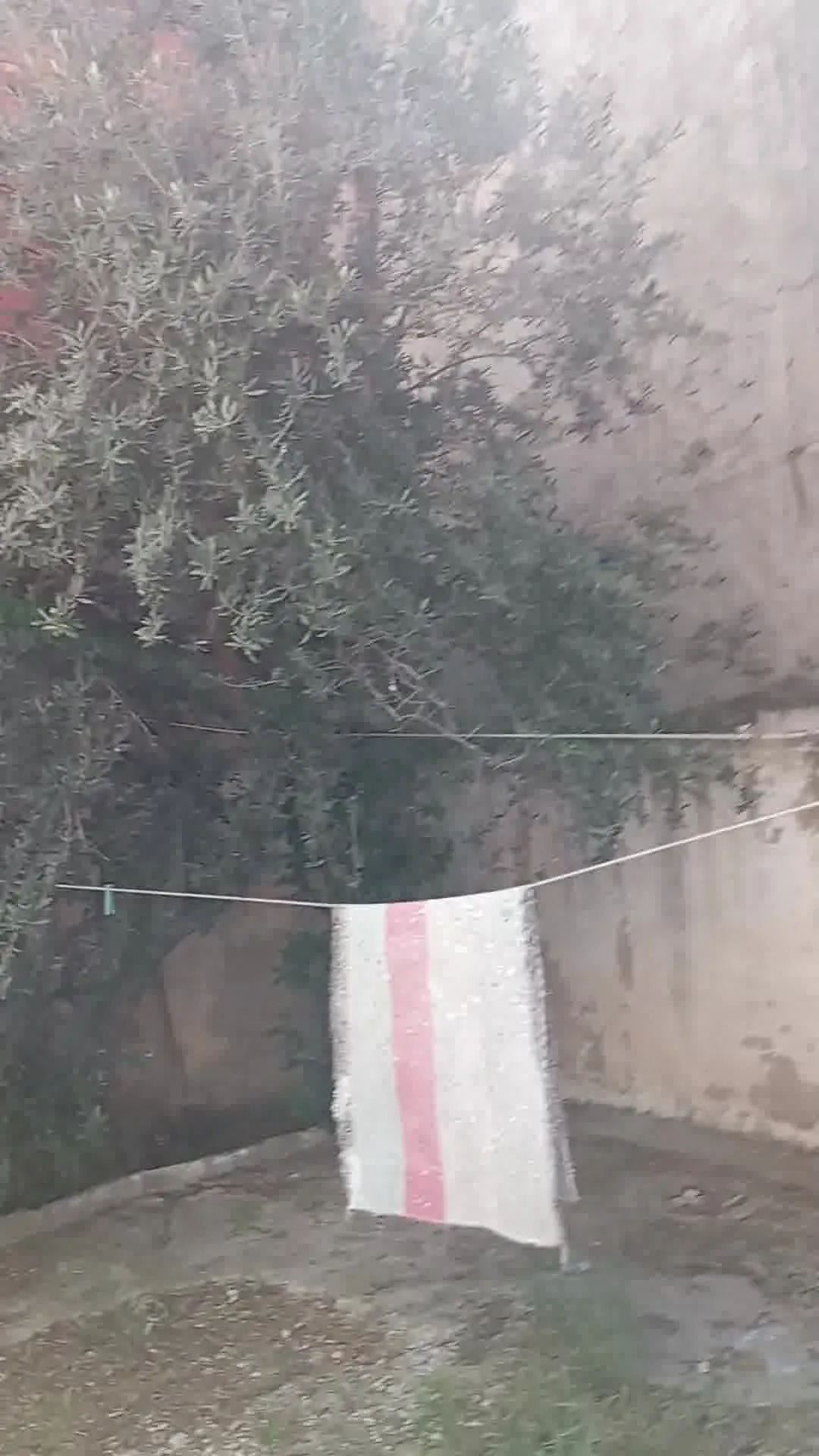 حي الخضراء طابق أرضي س2 في مسلك فردي فيه ماء و ضو 
