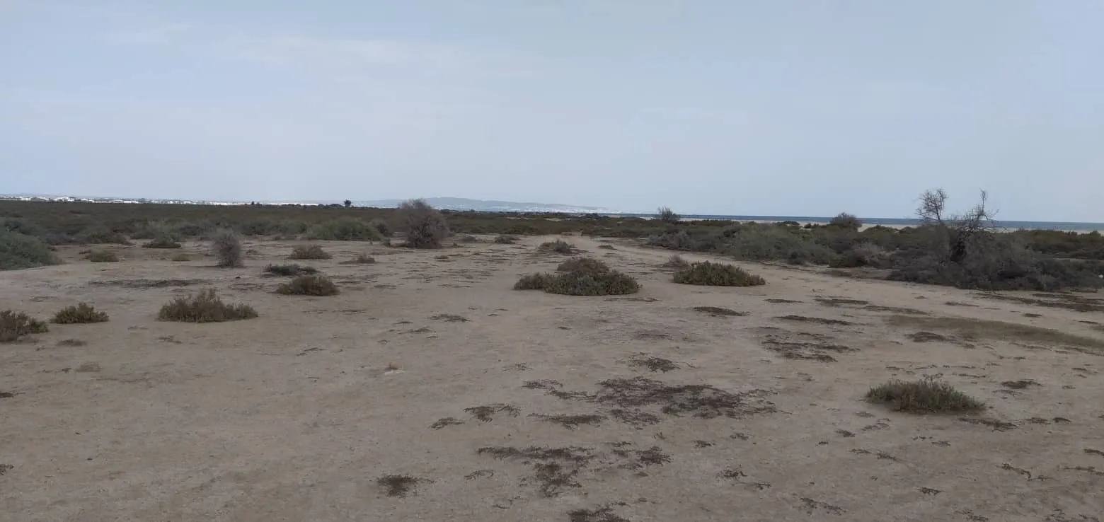 terrain salom bou ficha 1800 m