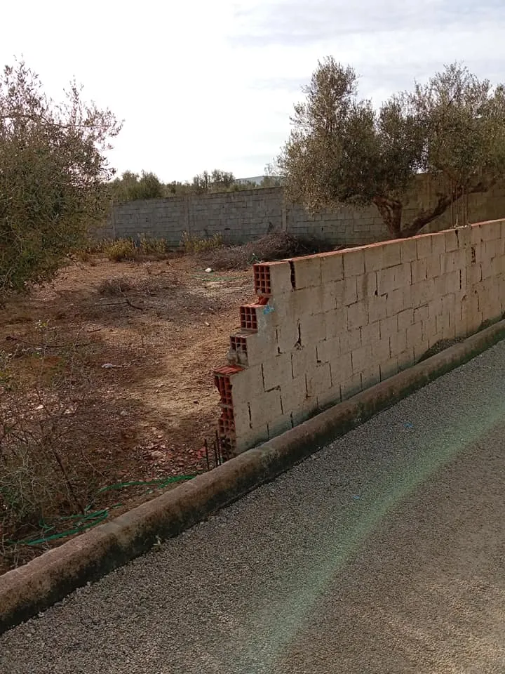 Terrain à vendre, Borj Etouil