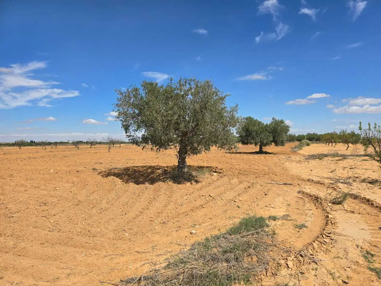 Route menzel cheker km 11 sfax