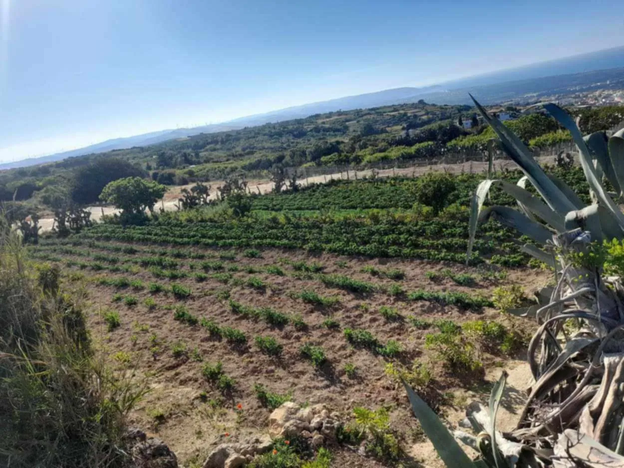 Terrain a raf raf 1 hectare