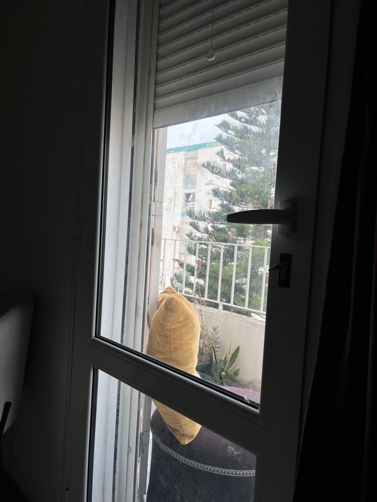 Location annuelle Appartement S2 