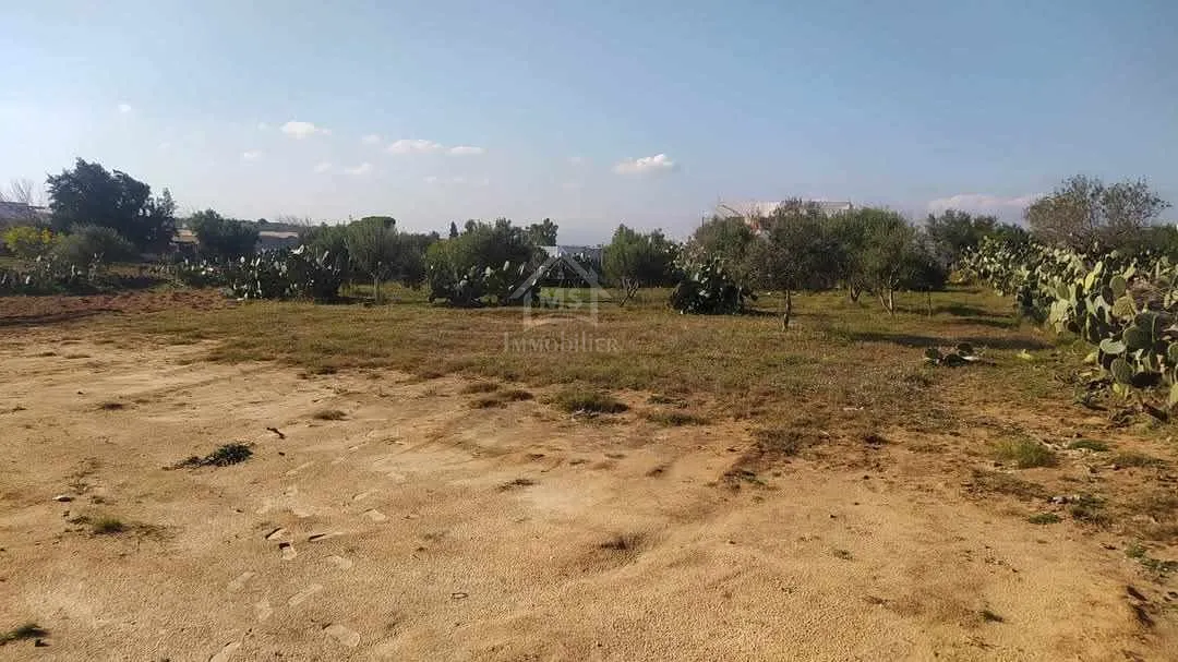 Terrain de 1932 m² à Birbouragba à vendre 51355351