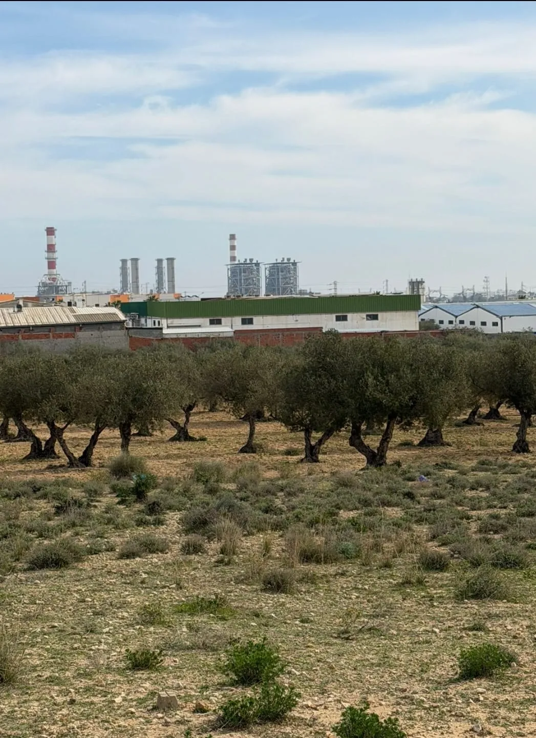 Vente terrain constructible Sousse , 30.000 m²