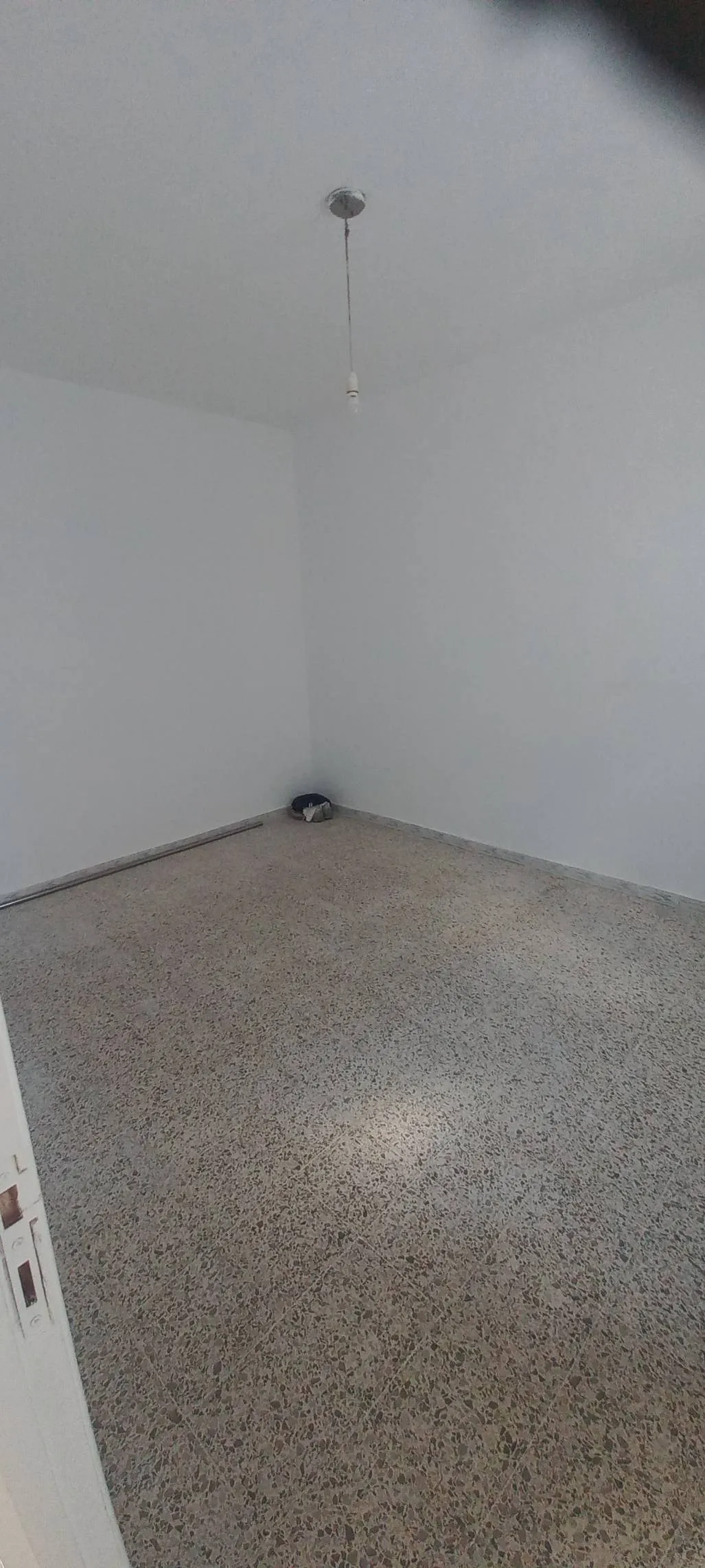 Duplex