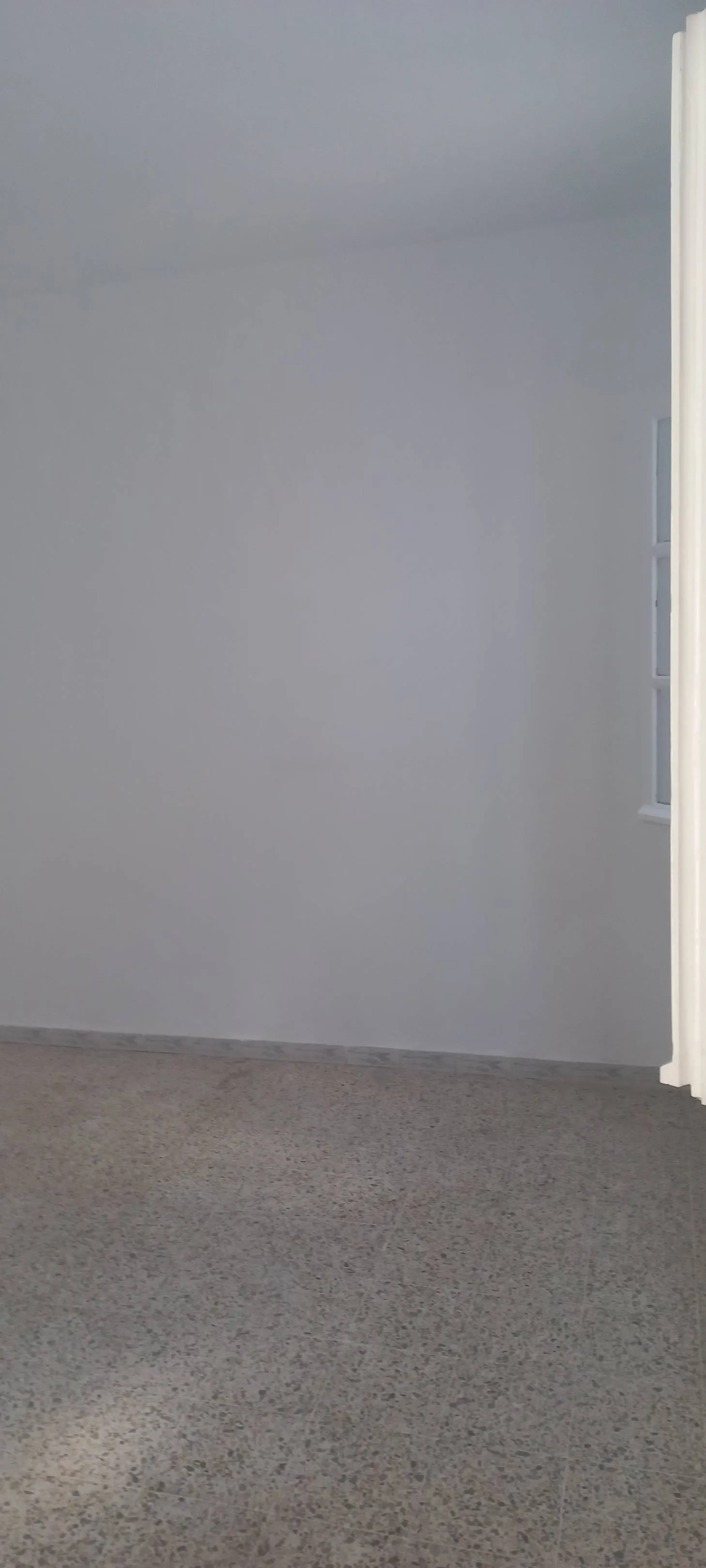 Duplex