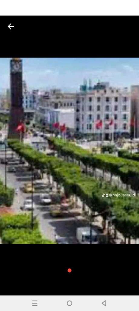 شقق مفروشة للايجار باليوم اسبوع في تونس العاصمة أو العوينة