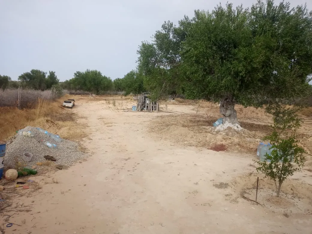 A vendre Terrain agricole