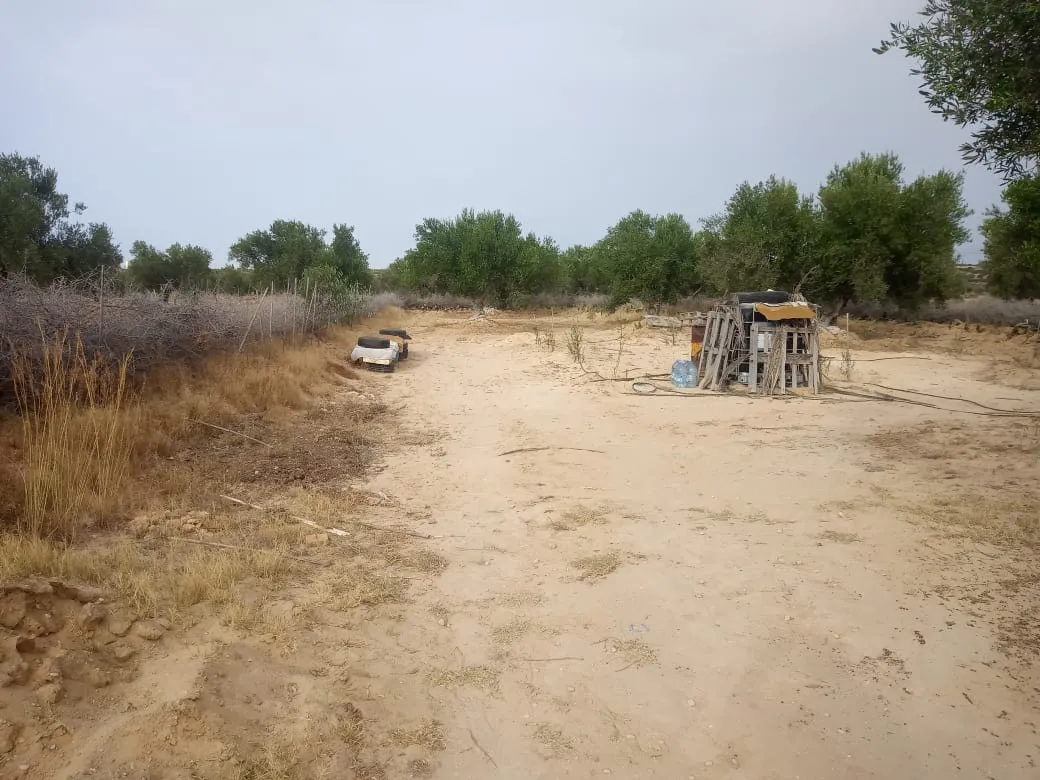 A vendre Terrain agricole