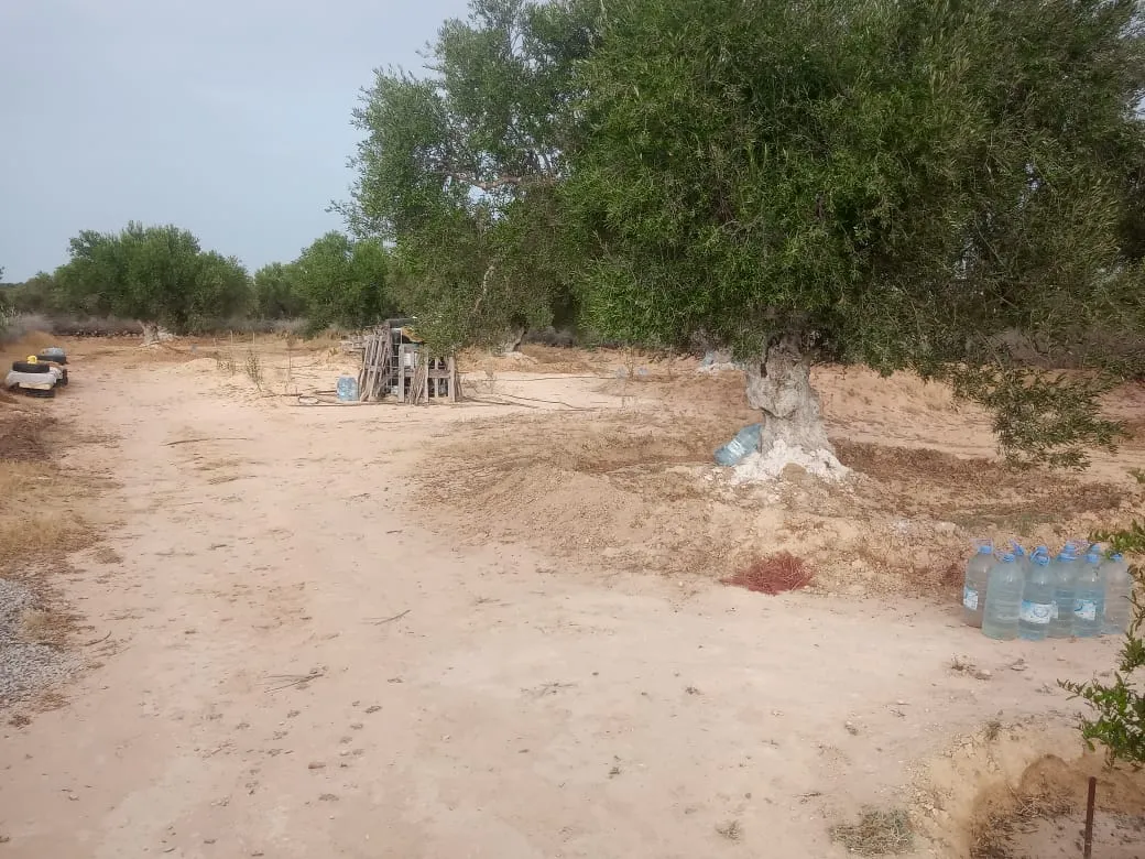 A vendre Terrain agricole
