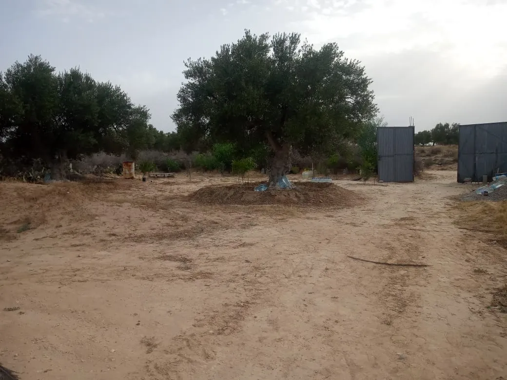 A vendre Terrain agricole