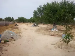 A vendre Terrain agricole