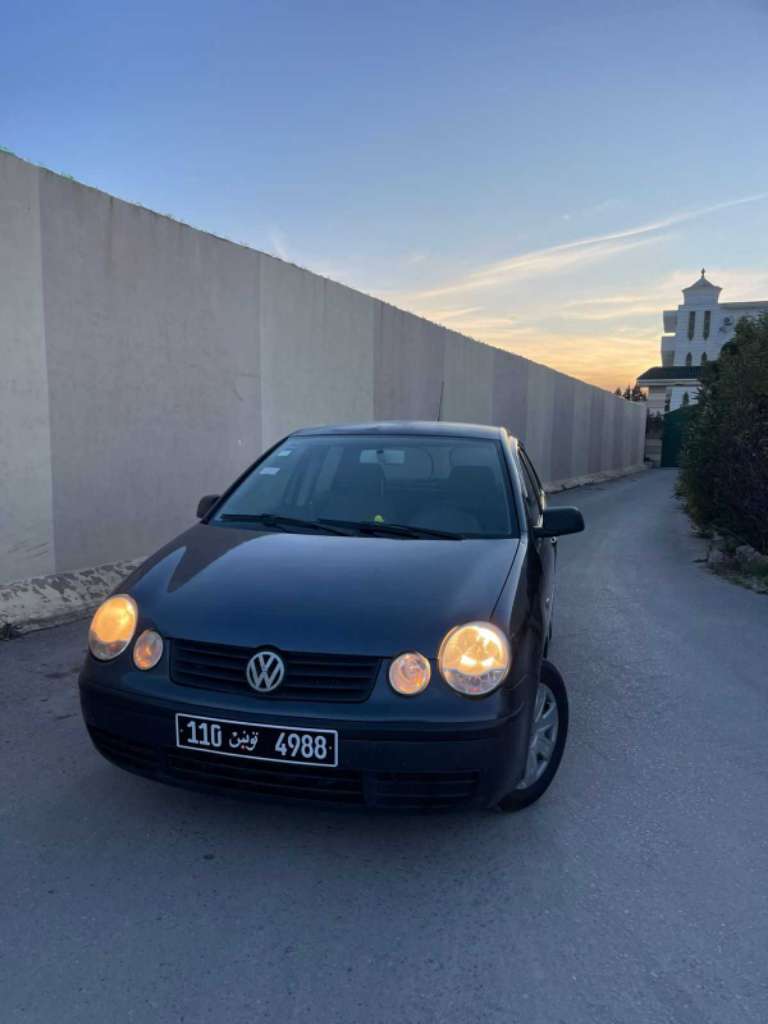 Polo 5