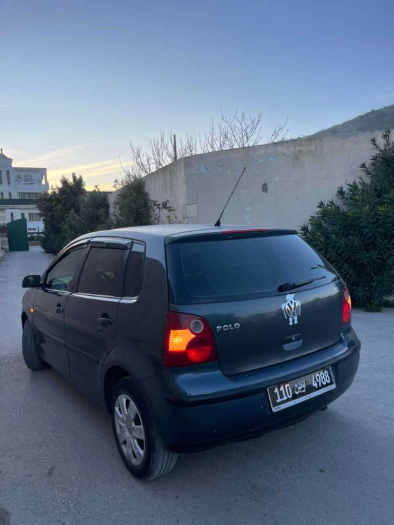 Polo 5