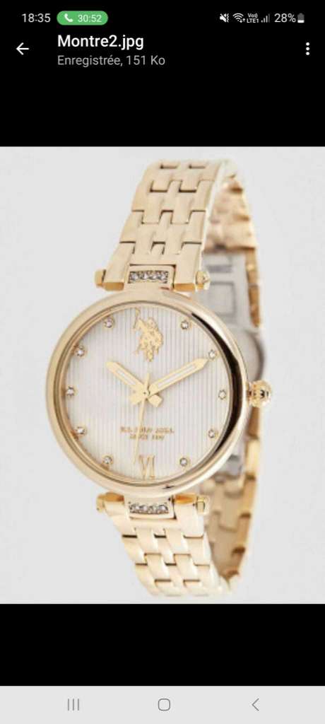 Montre US Polo Assn Gold
