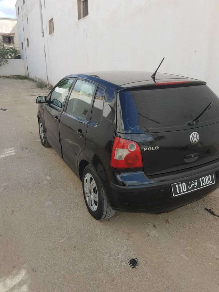 Polo 5 