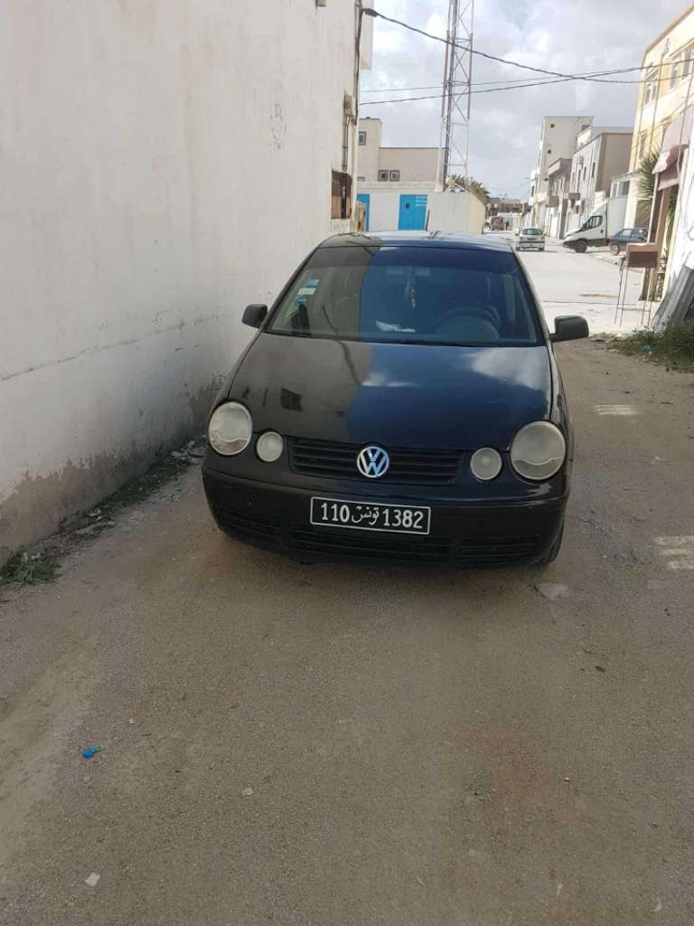 Polo 5 