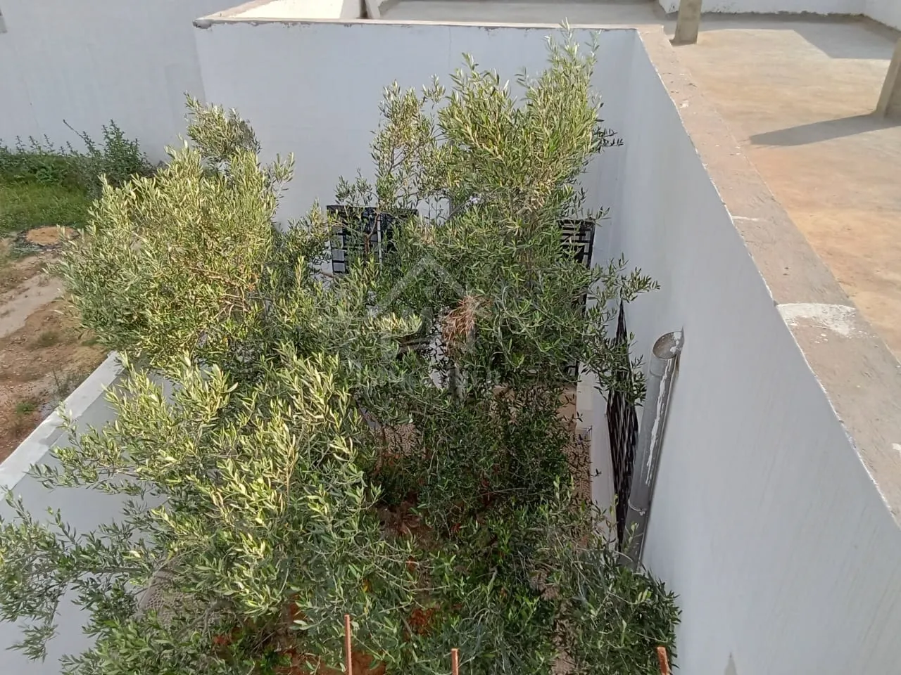 Une nouvelle maison avec jardin et garage à vendre 51355351