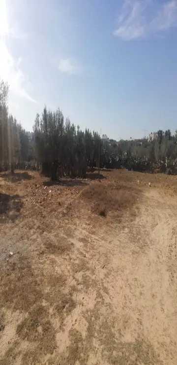 A vendre terrain 