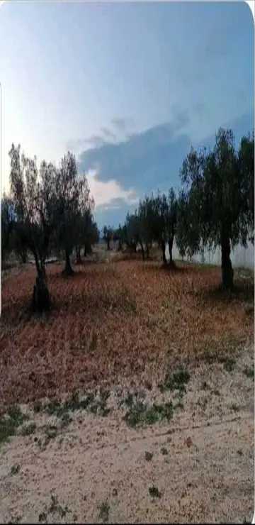 A vendre terrain 