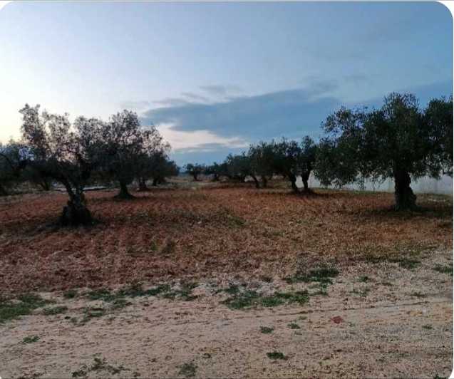 A vendre terrain 