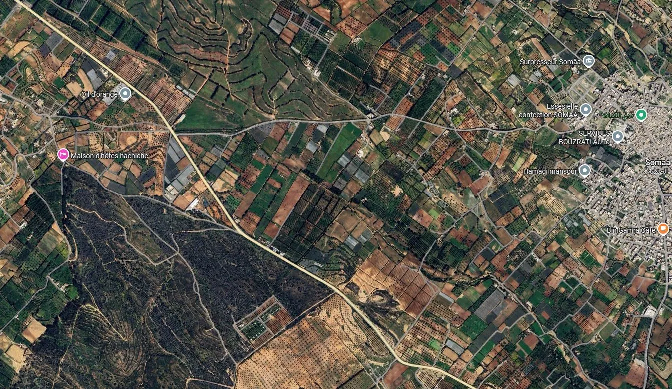 A vendre terrain agricole 3 hectares