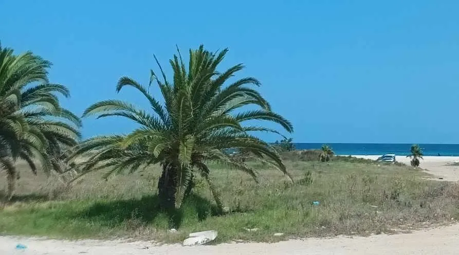 Appartement meublé route Corniche Bizerte