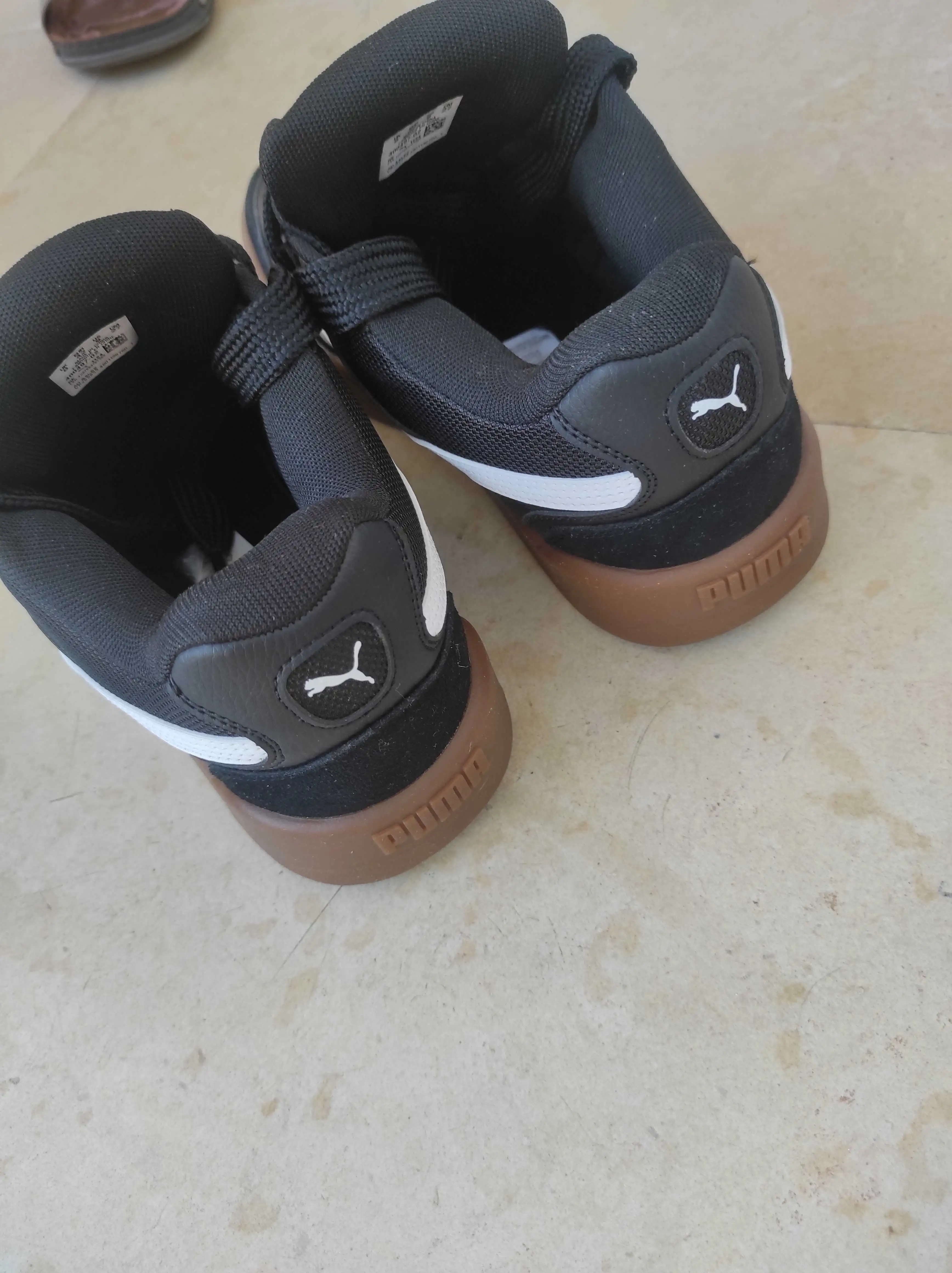 Puma 