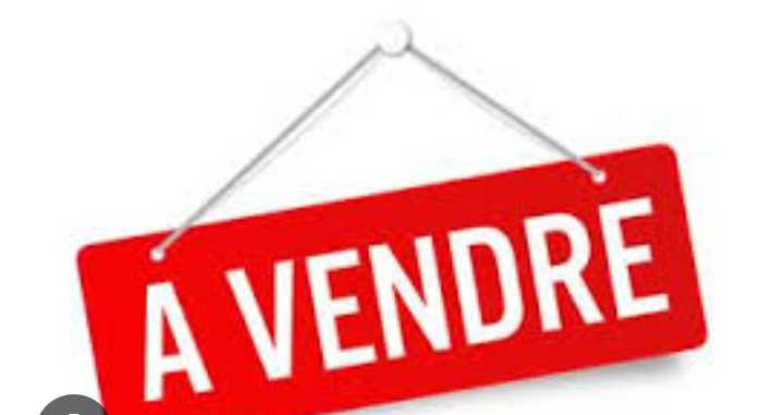 À vendre Villa et deux appartements à bardo