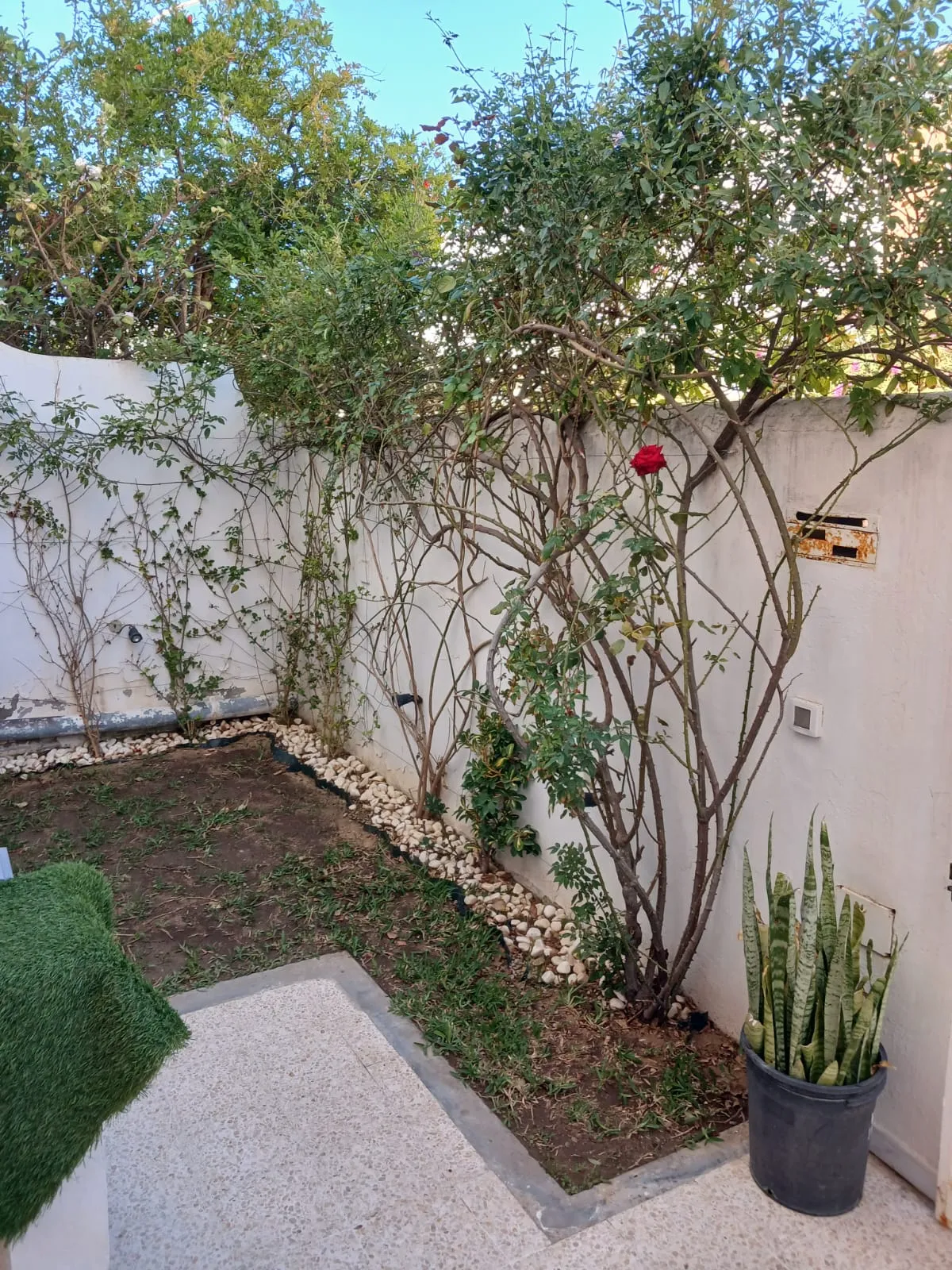 duplex اريانة الصغرى unique