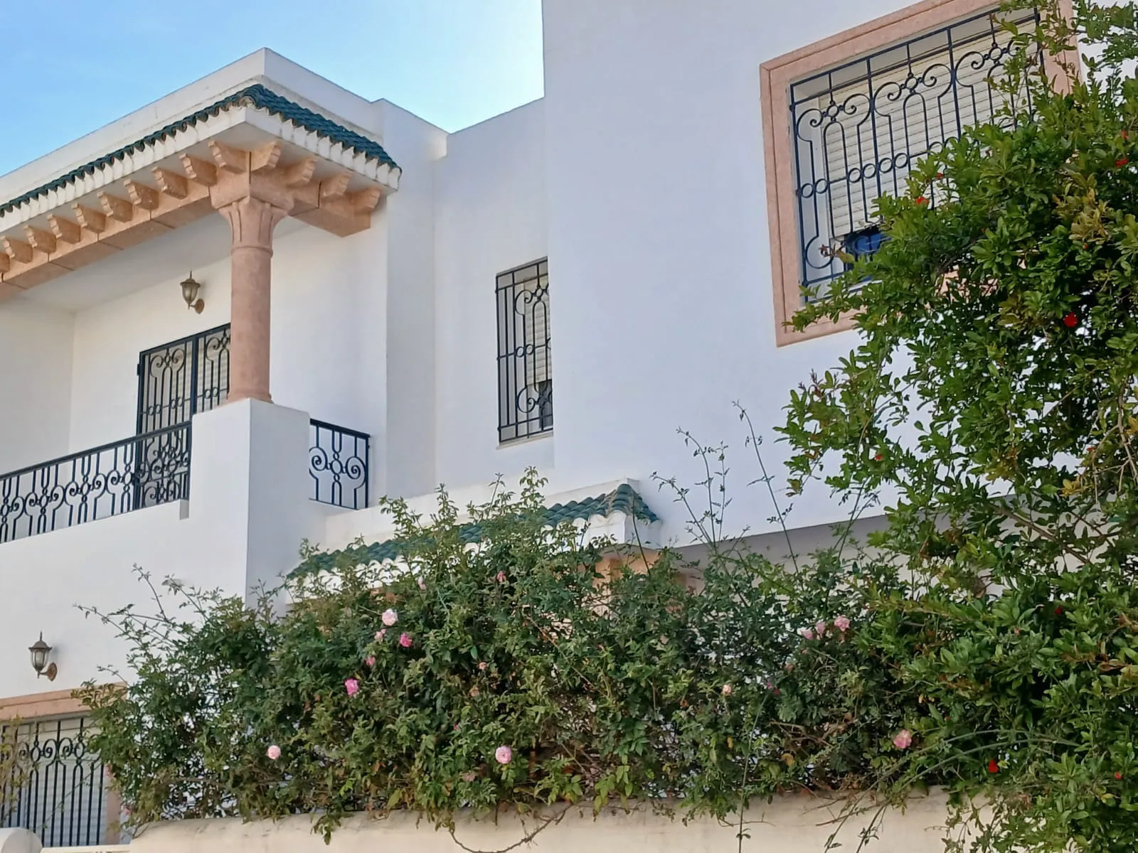 duplex اريانة الصغرى unique