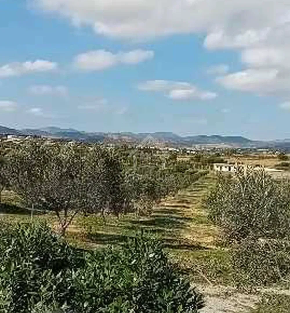 Terrain de 400 m² avec vue de mer à Hammamet Sud à vendre 51355351