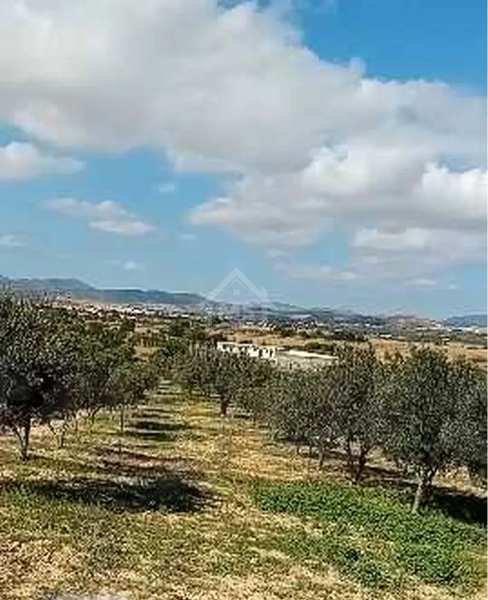 Terrain de 400 m² avec vue de mer à Hammamet Sud à vendre 51355351
