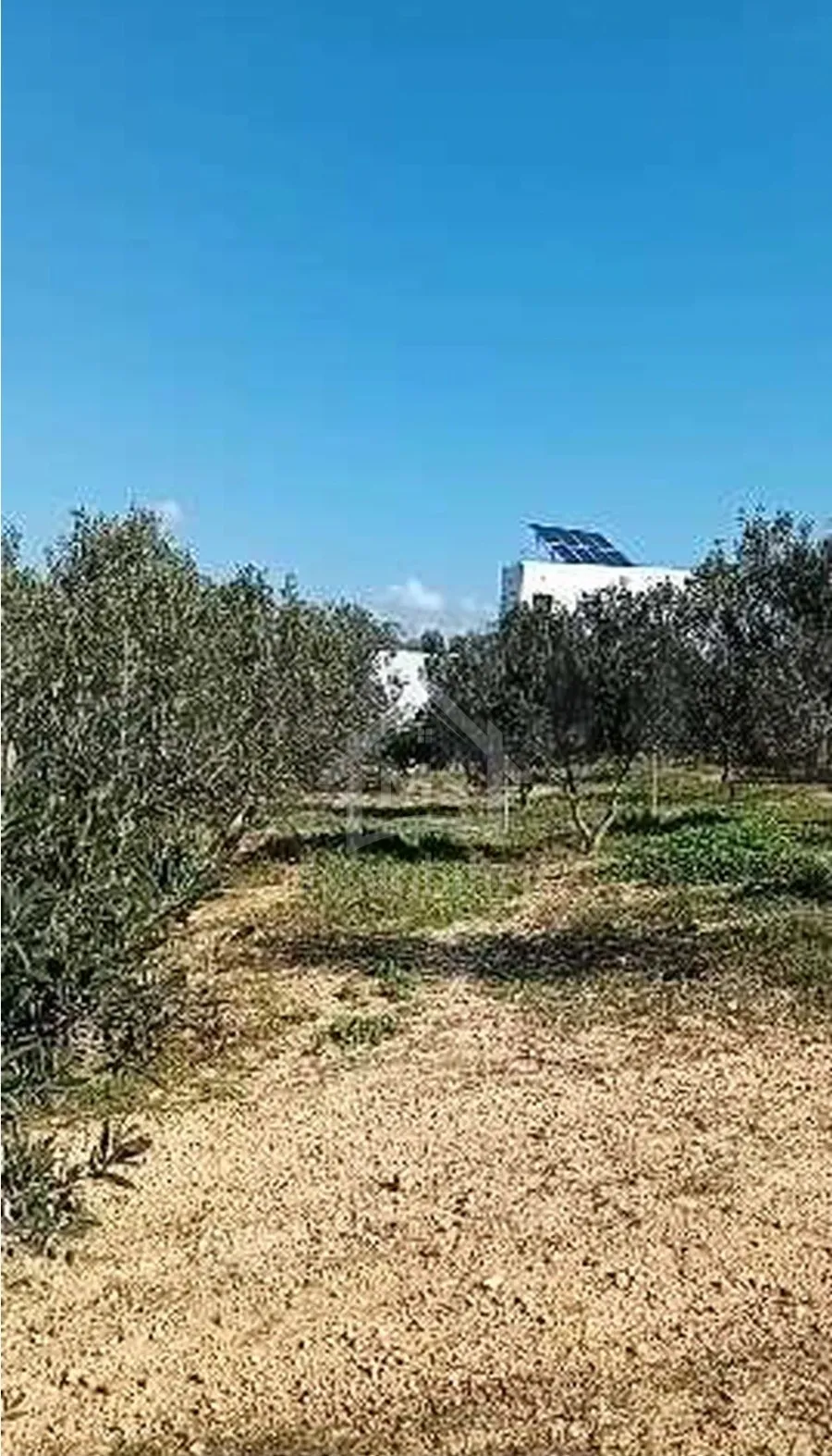 Terrain de 400 m² avec vue de mer à Hammamet Sud à vendre 51355351