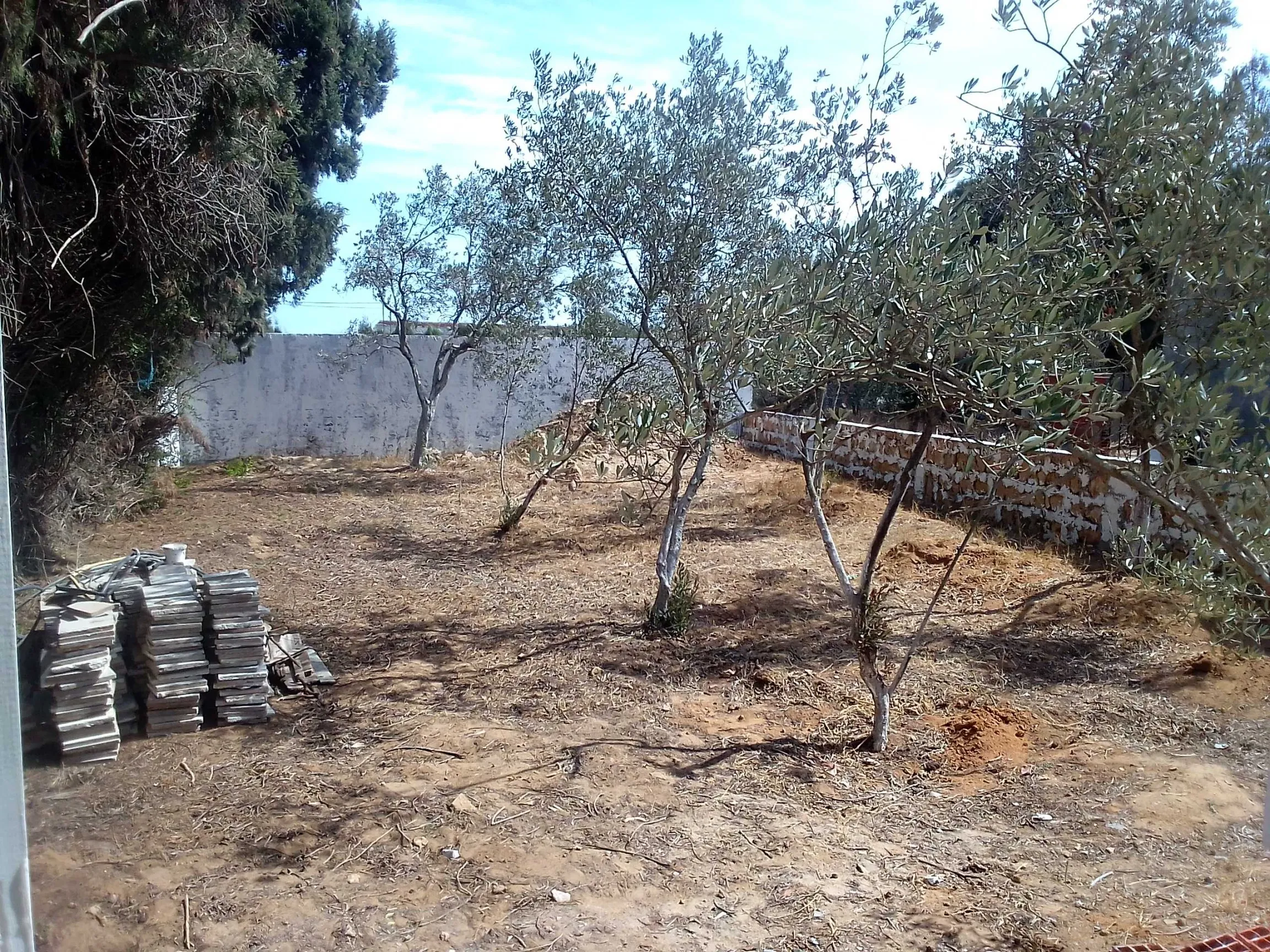 Terrain + maison route plage mami rasjbal