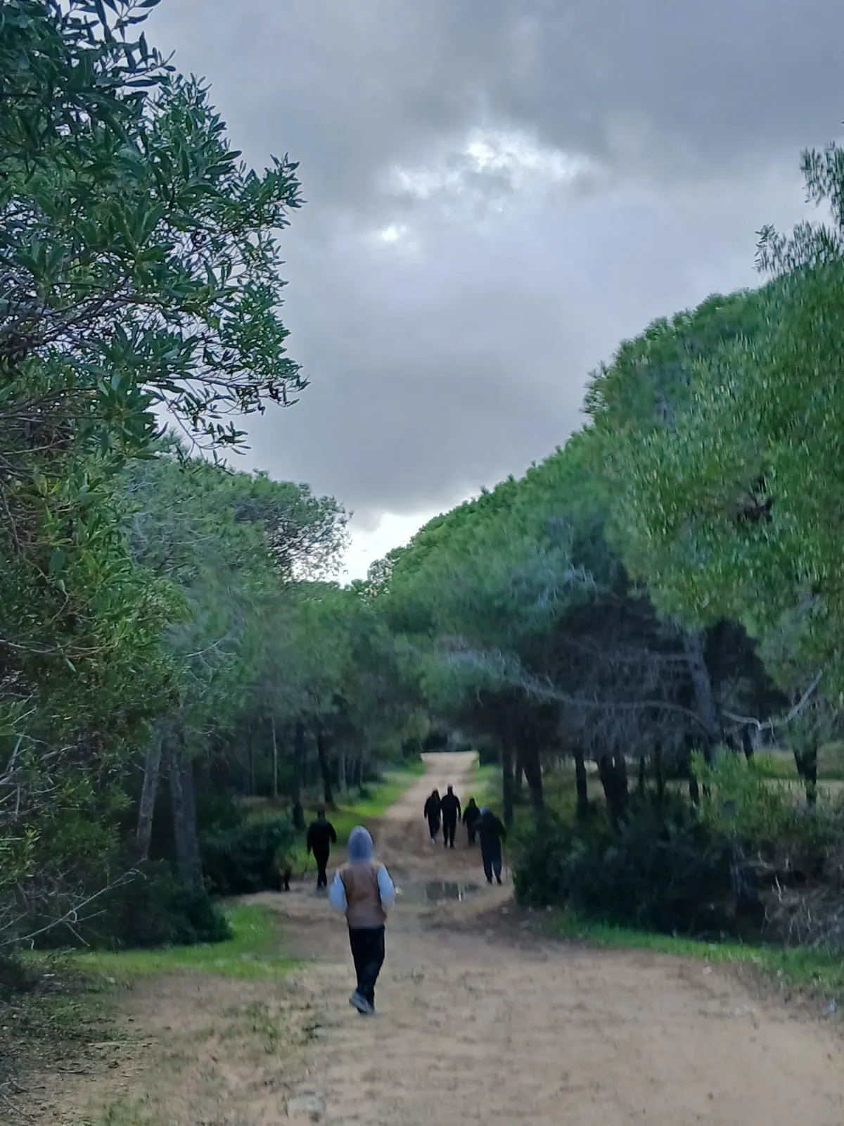 Terrain + maison route plage mami rasjbal