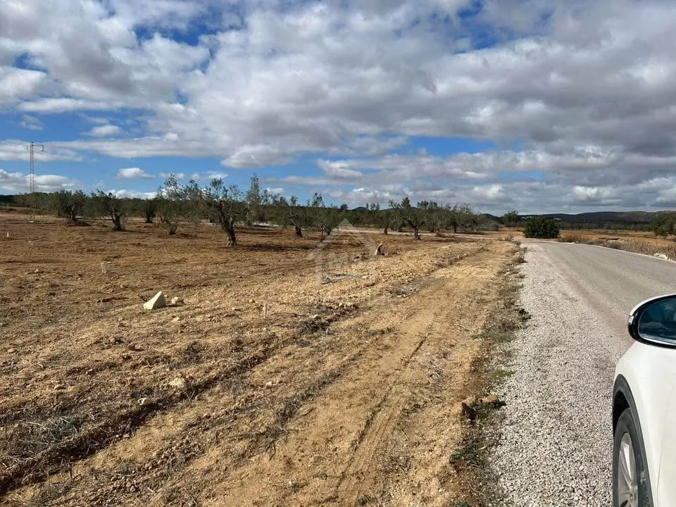 Terrain de 3789 m² à Hammamet Sud à vendre 51355351