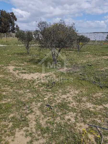 Un lot de terrain de 500 m² à vendre à 55 MD à Hammamet Sud 51355351