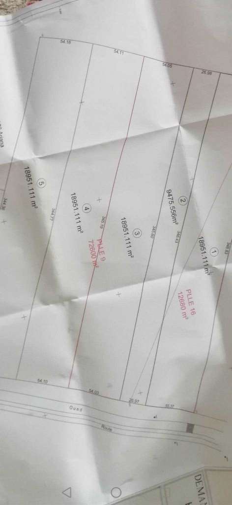 سيدي ثابت اريانه