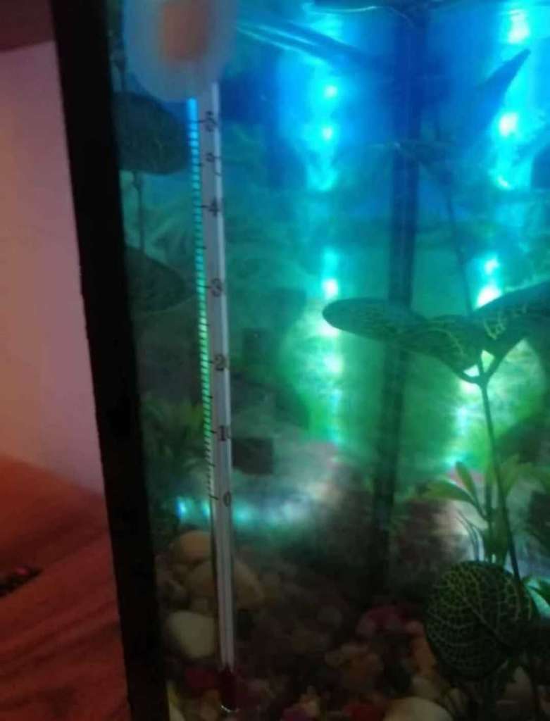 Aquarium 
