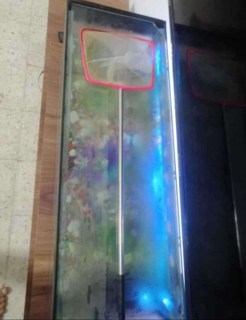 Aquarium 